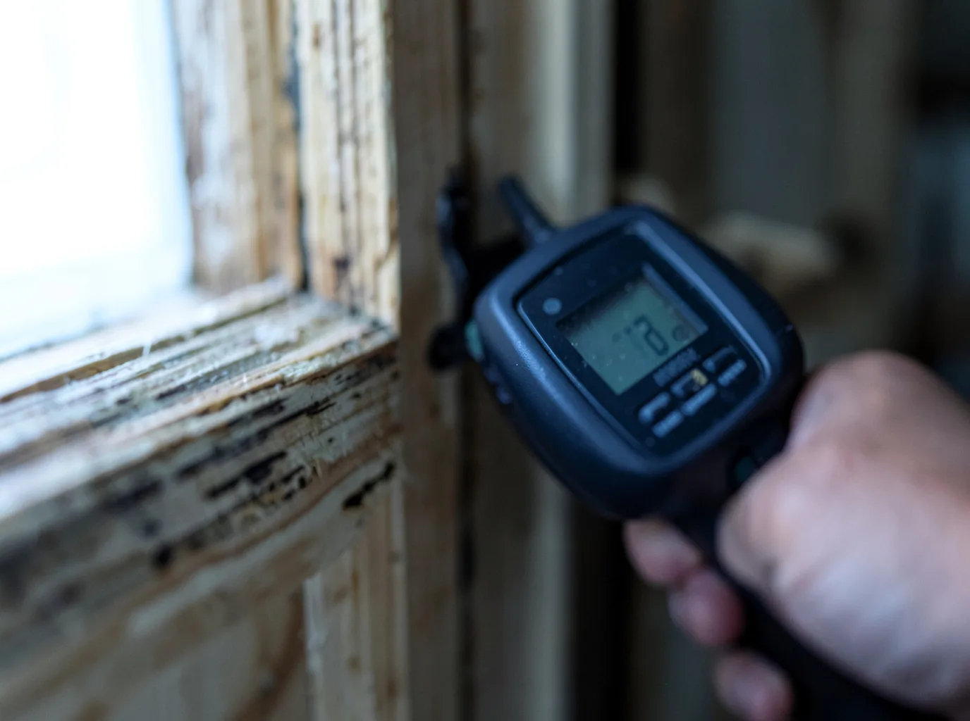 Moisture Inspection And Documentation in Heron, MT
